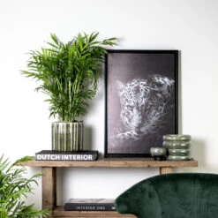 Chamaedorea Elegans - Palmier Nain Mexicain - Purificateur D'air – ⌀17 Cm - ↕50-60 Cm -VIDA Plantes Magasin 640b21045e72a5.33117055