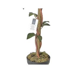 Rosier Artificiel En Pot 90 Cm -VIDA Plantes Magasin 640b7501c038f6.48008160