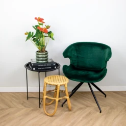 Anthurium 'aristo' Orange - Plante Flamingo - Entretien Facile - ⌀14 Cm - ↕45-55 Cm 10 Anthurium 'aristo' Orange - Plante Flamingo - Entretien Facile - ⌀14 Cm - ↕45-55 Cm -VIDA Plantes Magasin 640b783c3548d8.40389046