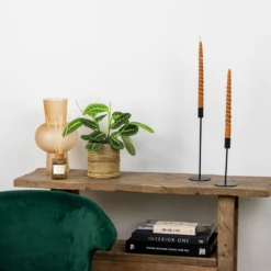 Maranta Lemon Lime – Plante De Prière – Plante D'intérieur – Purificateur D'air – ⌀12cm –↕10-15cm -VIDA Plantes Magasin 640b786dee6560.87406910