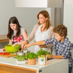 Sac Papier Prêt à Cultiver Calendula -VIDA Plantes Magasin 6420e04ce65762.91235116