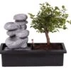 Set Bonsaï Et Cascade-pierres - Support L.30cm- H.25-30cm -VIDA Plantes Magasin 6422e176aee3b5.11933587