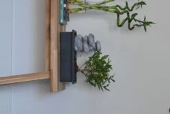 Set Bonsaï Et Cascade-pierres - Support L.30cm- H.25-30cm -VIDA Plantes Magasin 6422e176bdde43.86636099