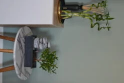 Set Bonsaï Et Cascade-pierres - Support L.30cm- H.25-30cm -VIDA Plantes Magasin 6422e176c936d7.62659362