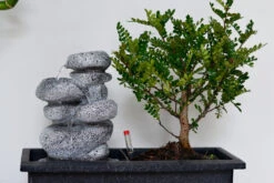 Set Bonsaï Et Cascade-pierres - Support L.30cm- H.25-30cm -VIDA Plantes Magasin 6422e176e22588.29286272