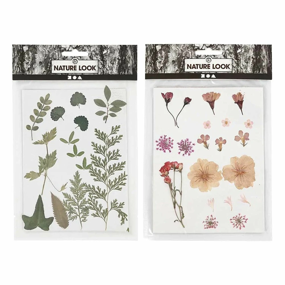 40 Fleurs Et Feuilles Séchées - Rose & Vert 4 40 Fleurs Et Feuilles Séchées - Rose & Vert – Image 2