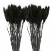 12 Tiges De Lagurus Séchés Noirs - 45 Cm 2 12 Tiges De Lagurus Séchés Noirs - 45 Cm -VIDA Plantes Magasin 64258471449766.84893282