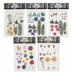 VIDA Plantes Magasin -VIDA Plantes Magasin 64258479a1c6c9.91576468