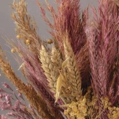 Assortiment De Fleurs Séchées -VIDA Plantes Magasin 6425847a202a54.72738169