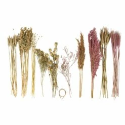 Assortiment De Fleurs Séchées -VIDA Plantes Magasin 6425847a28e7c1.91892144