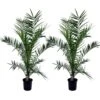 Phoenix Canariensis - Set De 2 - Palmier Dattier - Pot 19cm - Hauteur 80-100cm -VIDA Plantes Magasin 6426d613cc3256.78018557