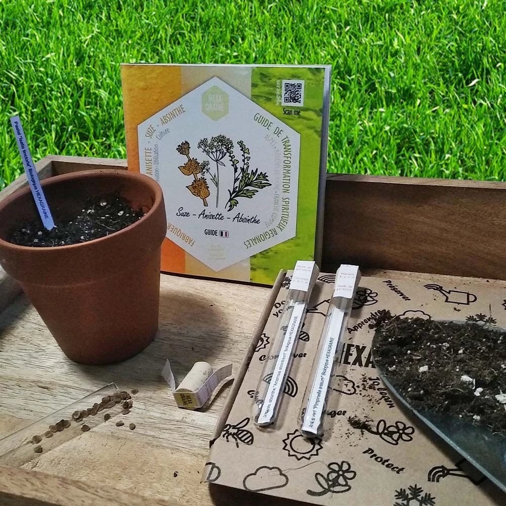 Coffret De Semences Médicinales Aromatique Apéritifs Régionaux 8 Coffret De Semences Médicinales Aromatique Apéritifs Régionaux – Image 6