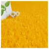 Gazon Synthétique Peps - Couleur Jaune Orangé - 20mm - 2m X 2m -VIDA Plantes Magasin 645cec98a653c5.46354107