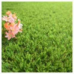 Gazon Synthétique Fontainebleau - 30mm - 1m X 9m -VIDA Plantes Magasin 645d645d3244b6.85261918