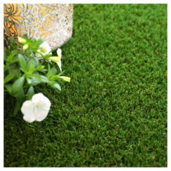 Gazon Synthétique Jardin D'été - 30mm - 1m X 8m -VIDA Plantes Magasin 645d646a978aa1.48867922