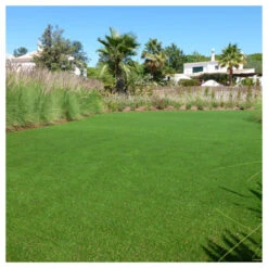 Gazon Synthétique Jardin D'été - 30mm - 1m X 8m -VIDA Plantes Magasin 645d646ab57299.80970846