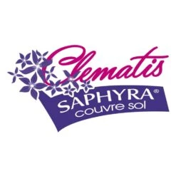 Clématite Saphyra® Violetta "m32-10'/godet - 5/10 Cm 13 Clématite Saphyra® Violetta "m32-10'/godet - 5/10 Cm -VIDA Plantes Magasin 645d8585385793.88311540