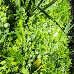 Mur Végétal Artificiel Fougère Dense Prix/m² -VIDA Plantes Magasin 646fa622a757c6.13018521