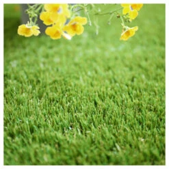 Gazon Synthétique New Eden - 35mm - 1m X 6m -VIDA Plantes Magasin 6476ea62b07052.07467617