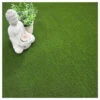Gazon Synthétique Zen Sur Plots - 5mm - 2m X 32ml -VIDA Plantes Magasin 6476ea7d070972.69693414