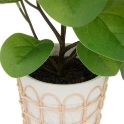 ATMOSPHERA Plante Artificielle Dans Pot En Céramique Et Rotin H 34 Cm -VIDA Plantes Magasin 64821b77f1afd7.11595530