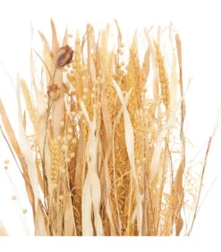 ATMOSPHERA Fagot De Fleurs Et Tiges Séchées D. 25 X H. 115 Cm -VIDA Plantes Magasin 64821bbdf34e96.52846136