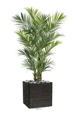 Palmier Kentia Artificiel Deluxe H 260 Cm 766 Feuilles -VIDA Plantes Magasin 6482c3b0992908.00459010