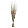 Fagot De Fleurs Séchées - H100 Cm -VIDA Plantes Magasin 6483186b7c12b5.91348428