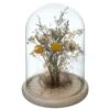 Fleurs Séchées Sous Cloche "folk" H26 Cm -VIDA Plantes Magasin 6483186be130e5.92092408