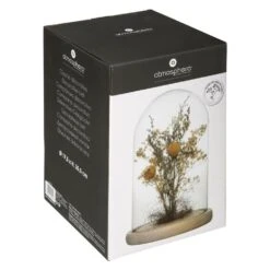 Fleurs Séchées Sous Cloche "folk" H26 Cm -VIDA Plantes Magasin 6483186c0e8e23.93473493