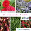 Kit Couvre Sols Talus - 5 Variétés - Lot De 38 Plants En Godet -VIDA Plantes Magasin 6495cc2c174433.01859377