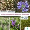 Kit Bordure Méditerranéenne - 5 Variétés - Lot De 8 Plants En Godet 2 Kit Bordure Méditerranéenne - 5 Variétés - Lot De 8 Plants En Godet -VIDA Plantes Magasin 6495cc2c6c8e33.93252114