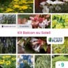 Kit Pour Balcon / Terrasse Au Soleil - Lot De 9 Plants En Godet -VIDA Plantes Magasin 6495cfc4ee6dc5.86198048