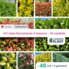 Kit Haie Persistante 4 Saisons - 10 Variétés - Lot De 48 Plants En Pot De 1 L -VIDA Plantes Magasin 6495d33924f426.30452357