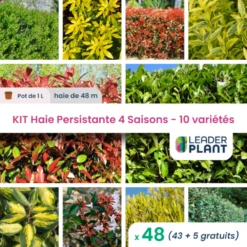Kit Haie Persistante 4 Saisons - 10 Variétés - Lot De 48 Plants En Pot De 1 L