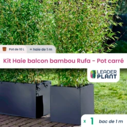 Kit Bambou Rufa 10l Avec Bac Pour Balcon