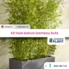 Kit Brise-vue Balcon Bambou Rufa 5 L 1 Kit Brise-vue Balcon Bambou Rufa 5 L -VIDA Plantes Magasin 6495d342efe1f7.01664271
