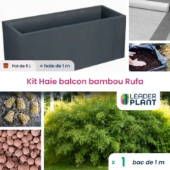 Kit Brise-vue Balcon Bambou Rufa 5 L -VIDA Plantes Magasin 6495d343073480.30118771