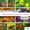Kit Haie Champêtre Gourmande - 9 Variétés – Lot De 18 Plants En Godet Et Pot De 1l -VIDA Plantes Magasin 6495d6b81a9f44.83061437