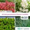 Kit Haie Persistante Et Fleurie - 4 Variétés - Lot De 52 Plants En Pot De 1 L -VIDA Plantes Magasin 6495d6bc31aa63.97210269
