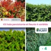 Kit Haie Persistante Et Fleurie - 4 Variétés - Lot De 4 Plants En Pot De 4 L -VIDA Plantes Magasin 6495d6bc8a9172.67910891