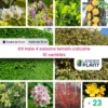 Kit Haie 4 Saisons Terrain Calcaire – 10 Variétés – Lot De 23 Plants En Godet -VIDA Plantes Magasin 6495d6bec473c8.00133555