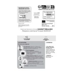 Géranium Zonale 'Sunrise® Fernando' Label Rouge : 10 Plants -VIDA Plantes Magasin 697186 005