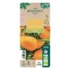 Mandarinier : C3L, Agriculture Biologique -VIDA Plantes Magasin 697332 012