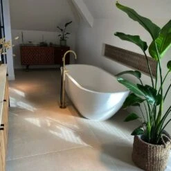 Strelitzia Nicolai Xxl - H180cm, ø24cm - Très Grande Plante D'intérieur -VIDA Plantes Magasin 6d77142b60f1d341