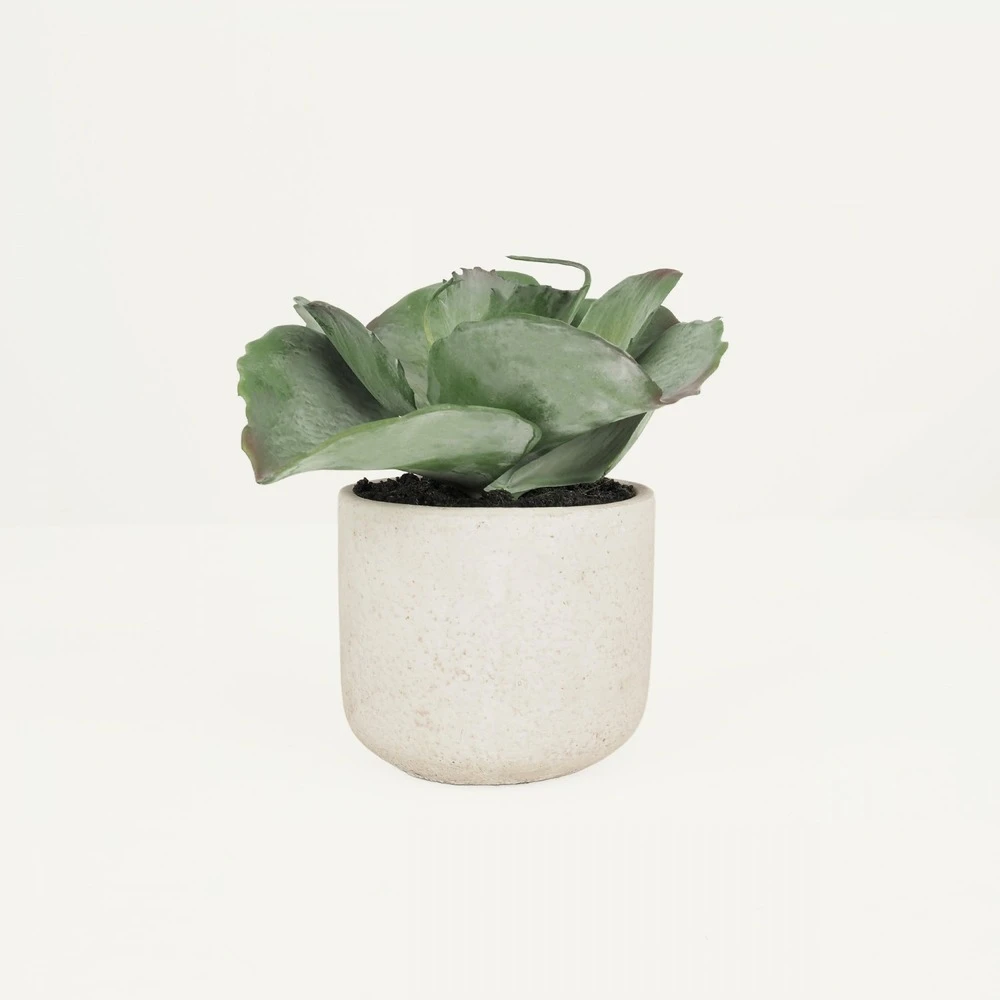 Succulente Artificielle Pot Effet Ciment 17cm 3 Succulente Artificielle Pot Effet Ciment 17cm