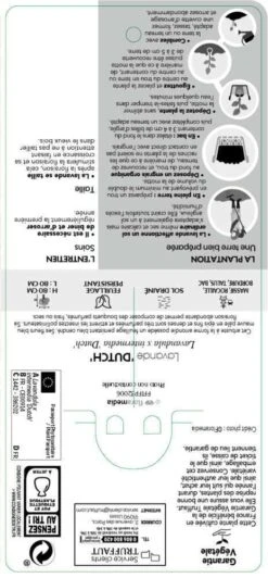 Lavande X Intermedia Dutch Lavander Pot 3L -VIDA Plantes Magasin 739237 002