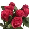 Botte De 7 Roses Rhodos Rouges 1 Botte De 7 Roses Rhodos Rouges -VIDA Plantes Magasin 748900 006