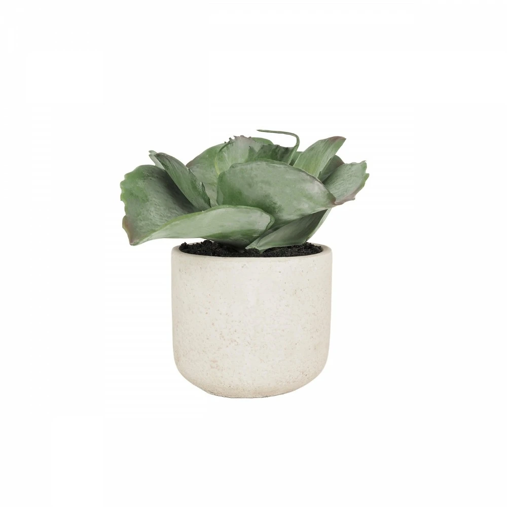 Succulente Artificielle Pot Effet Ciment 17cm 4 Succulente Artificielle Pot Effet Ciment 17cm – Image 2