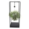 Tillandsia Et Son Support En Cube - H35cm, ø20cm - Plante D'intérieur Tombante -VIDA Plantes Magasin 7f164b806c086ee0